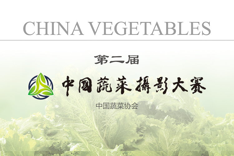 第二届中国蔬菜摄影大赛