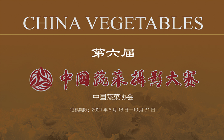 评审测试模拟