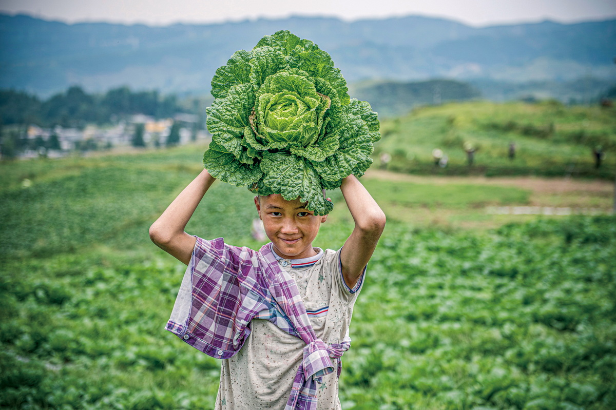 第六届中国蔬菜摄影大赛在京评选揭晓