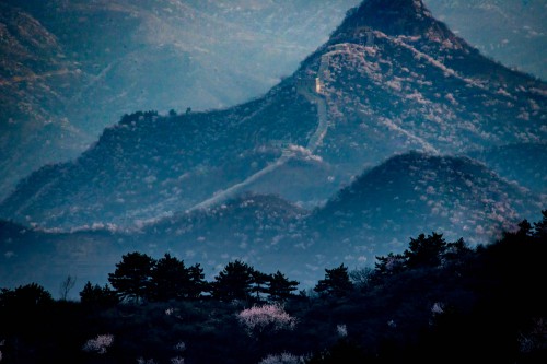 山花烂漫