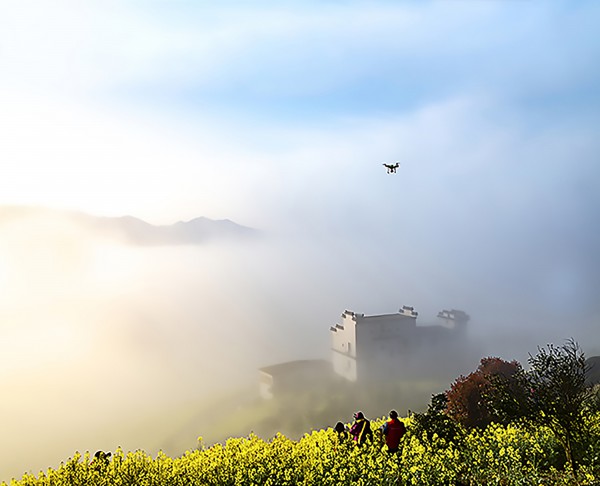 坡山新风景 