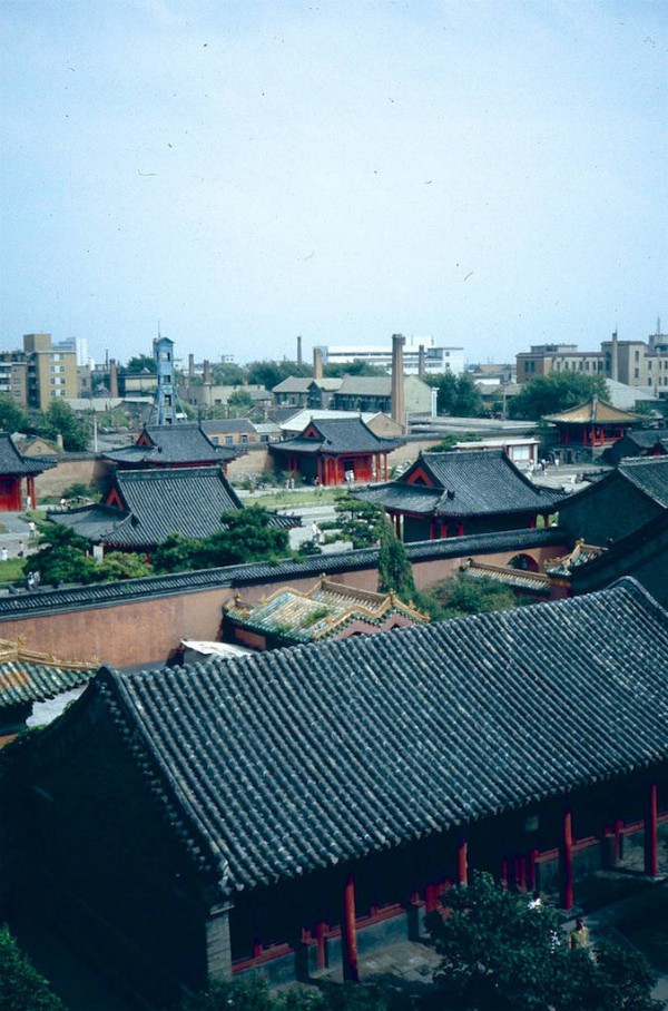 李婉真单图