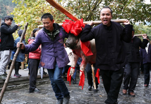 罗章民 中国广东 丰年 314933467@qq.com 13612213712