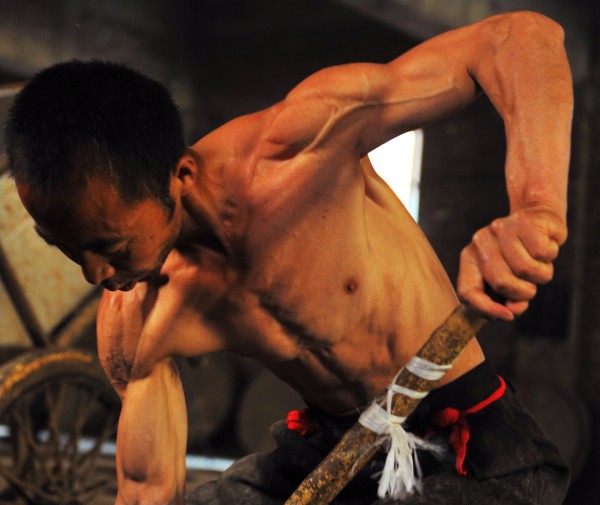 zhaodengxin组照