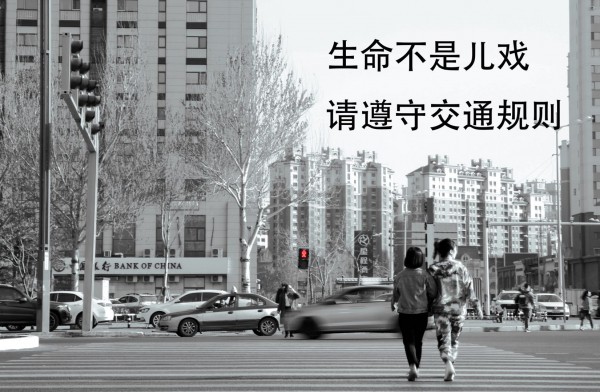 张纹舜单图