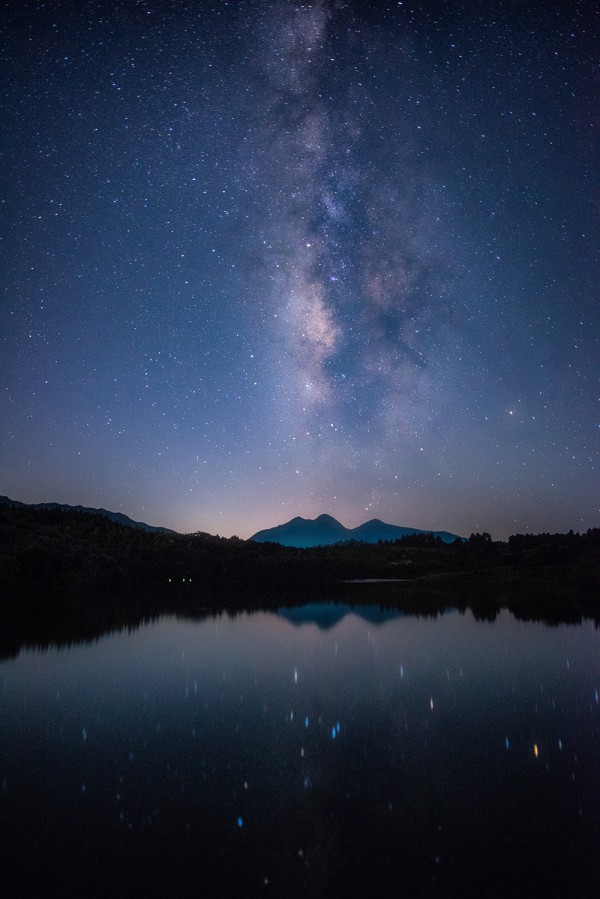 陈岚峰单图