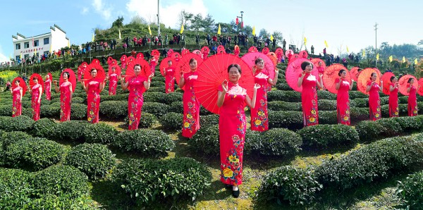 吴小红单图