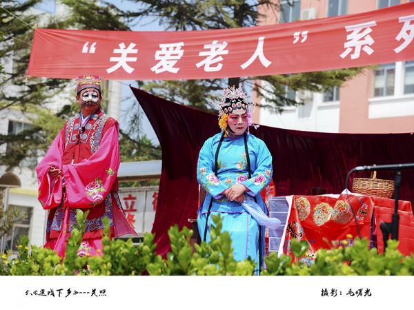 毛曙光组照