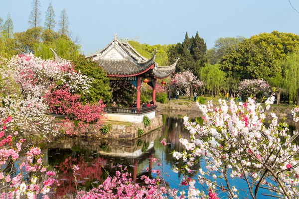 蒋国芬单图