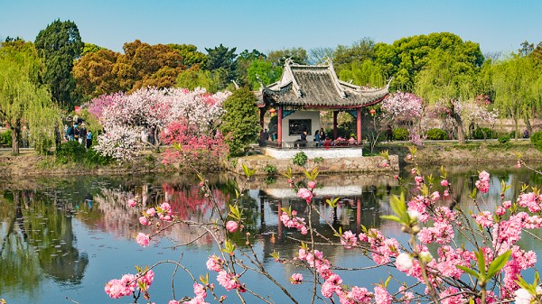 蒋国芬单图