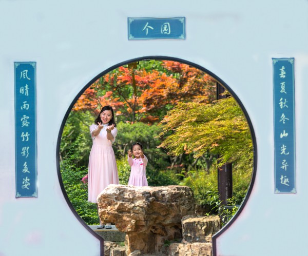 zys2019单图