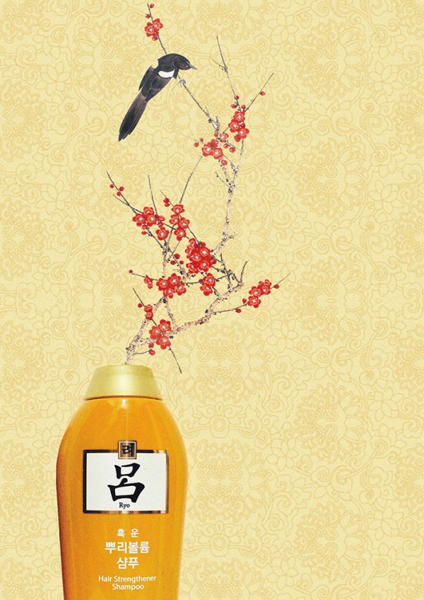 陈明义单图