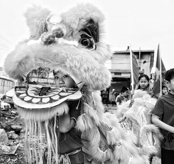 陈祺组照