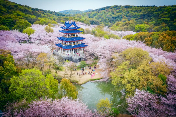 rqmg-2019单图