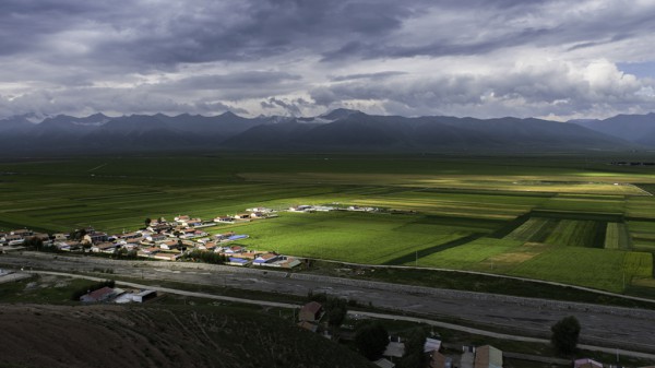wanghaiyan组照