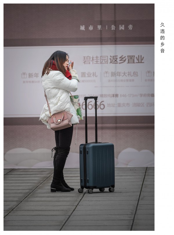 刘志强单图